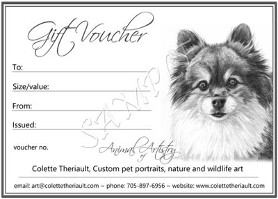 gift voucher pet portrait
