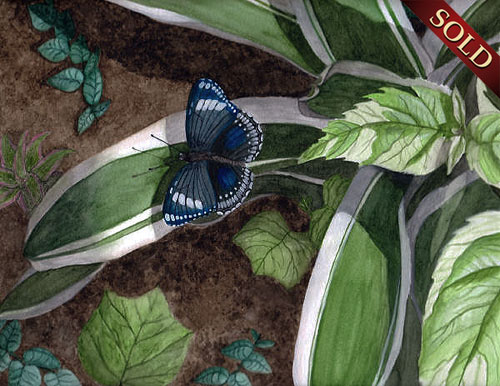 Butterfly Wildlife Painting