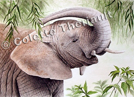 African Elephant Wildlife Painting
