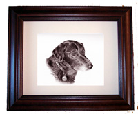 Black Labrador Puppy Picture