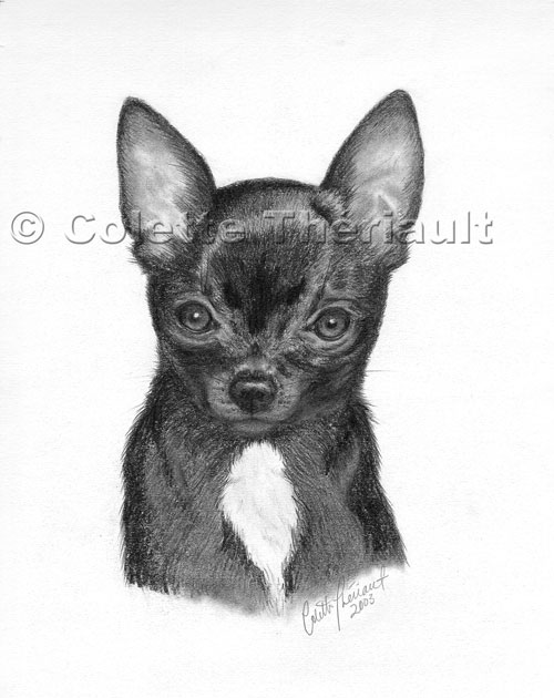 Dog Pet Portraits Art