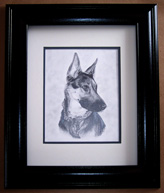 German Shepherd Framed Art