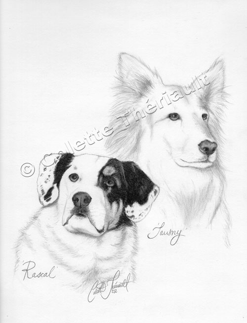 Dogs Pet Portraits