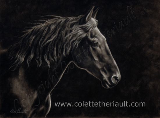 Peruvian Paso Fino Horse Painting