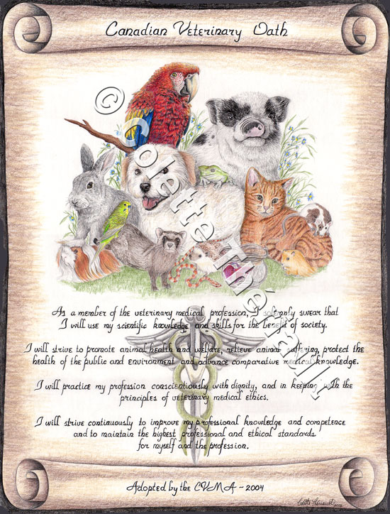 Canadian Veterinary Oath Artwork