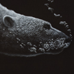 diving polar bear artwork