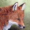 red fox painting