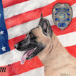 dog portrait of malinois drawing