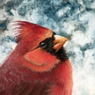 northern red cardinal painting in pastel