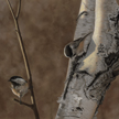 black capped chickadee painting