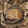 chipmunk painting