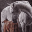 equine art painting in pastel