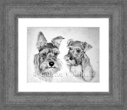 Pencil Pet Portraits