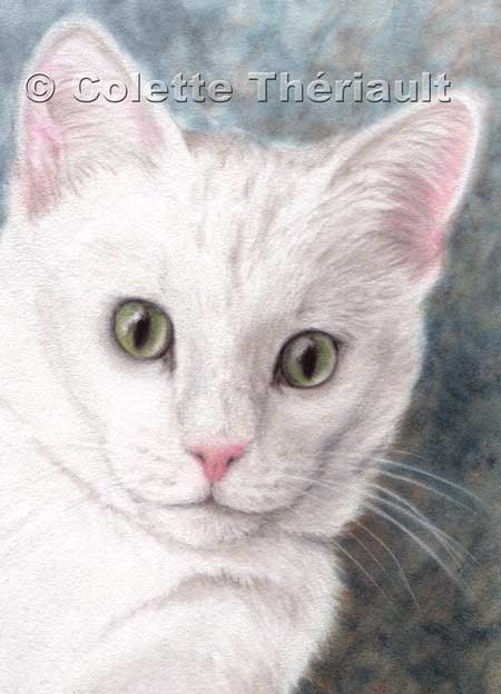 White Cat Portrait painting-pastel