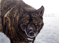 Pet Portraits by Colette Theriault