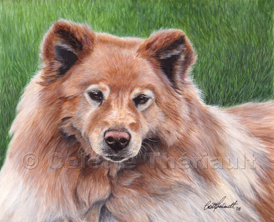 Chow chow mix painting pet portrait