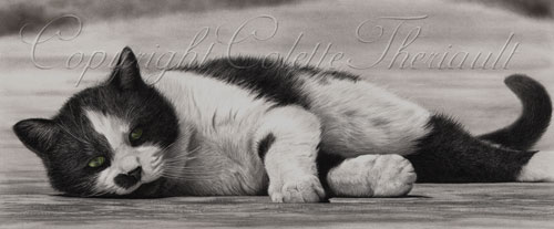 colored pencil drawings of pets