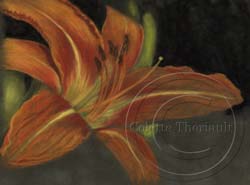 step 2 daylily flower painting