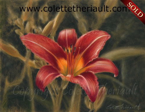 wild daylily flower painting in pastel-Floral Artwork