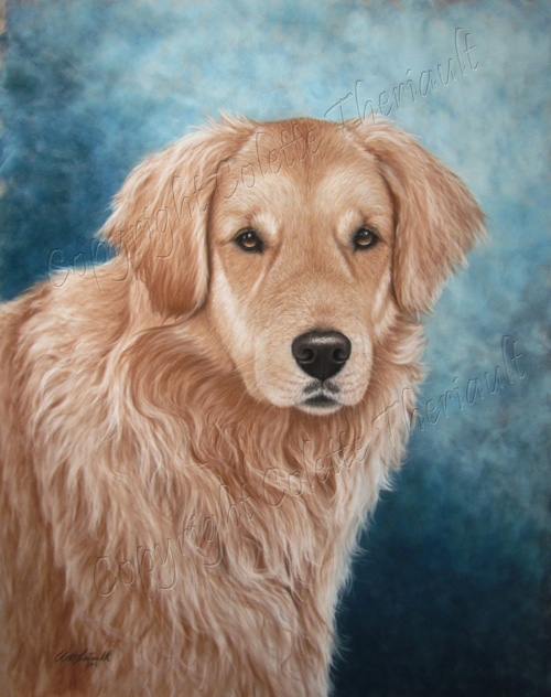 commission Portrait of Golden Retriever Painting in pastel