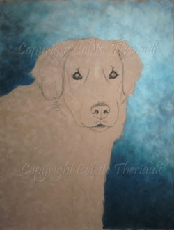Golden Retriever Painting in progress 2