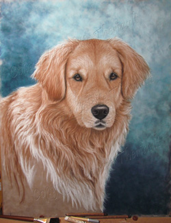 Golden Retriever Painting in progress 5