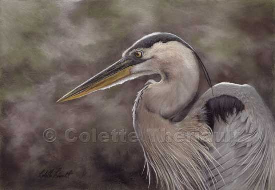 Great Blue Heron pastel painting