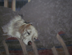 Dog portrait on the easel step3