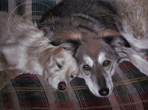 Mix breed dog portrait painting