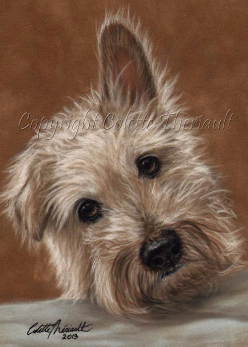 wire haired jack russell terrier portrait painting in pastel