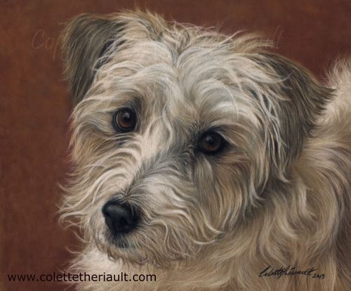Portrait of Wire Haired Jack Russell Painting in Pastel