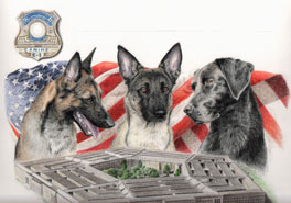 step 16 of police k9 artwork