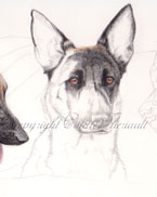 step 6 of police k9 artwork