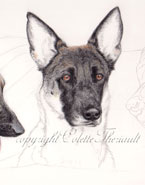 step 7 of police k9 artwork