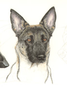 step 8 of police k9 artwork