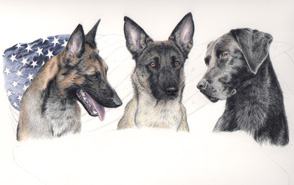 step 12 of police k9 artwork