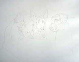 step 1 of police k9 artwork