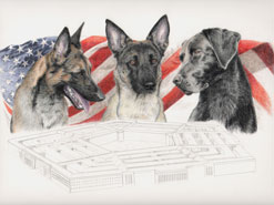 step 13 of police k9 artwork