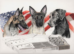 step 14 of police k9 artwork