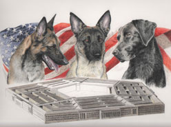 step 15 of police k9 artwork