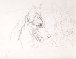 step 2 of police k9 artwork