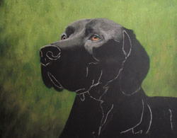 pointer pastel painting step 2