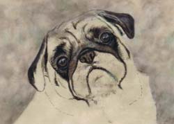 step 1 of pug portrait