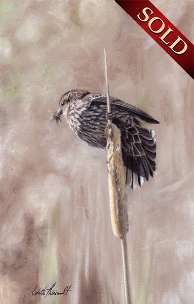 Red-winged blackbird painting pastel