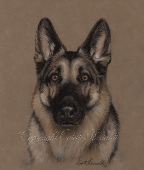 German Shepherd Dog Pastel Painting