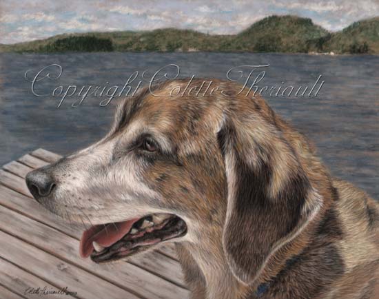 Beagle Dachshund mix Portrait