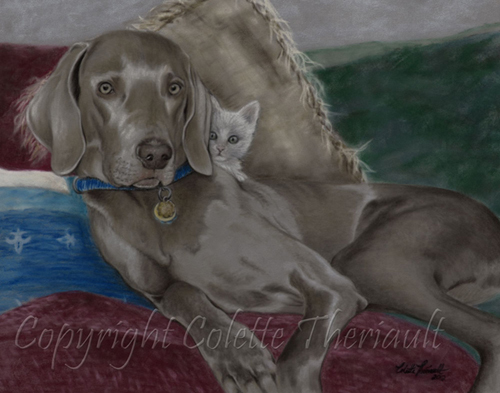 Weimaraner portrait painting in pastel