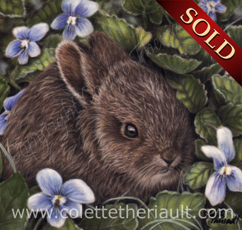 baby hare pastel painting wildlife art