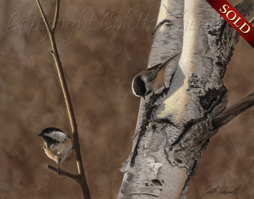 Black Capped Chickadee painting in pastel-Avian Art