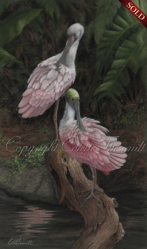 Roseate Spoonbill pastel painting 